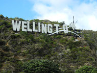 Wellington-UpperHutt 45km