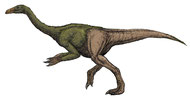 Bild eines Deinocheirus