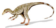 Bild eines Compsognathus