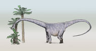 Bild eines Barosaurus