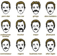 Elige la forma de tu bigote