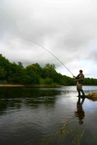 Fliegenfischer am River Moy