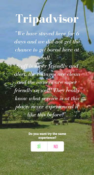 tripadvisor, nypa style resort, camiguin, philippines, review, mindanao resort, what the people say, experience, experience nypa style resort, nypa style for you, camiguin resort, italian resort in the philippines