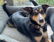 Lotte :-)