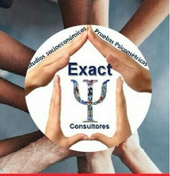 Página web de exact-consultores-estudio