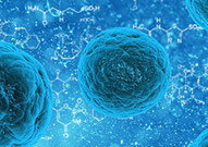 Ursachen von Krankheiten