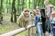 © affenberg-salem.de