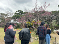お花見 (名桜大学があるやんばる(=沖縄北部地域)は、日本で一番桜が早く咲くとされており、1月には咲き始めます)