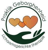 De website van massagepraktijkgeborghenh!