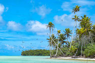 Tetiaroa Lagoon Photo iles aux oiseaux Jean-Adrien