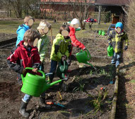 Pflanzung an der Herrschinger Grundschule, 2013