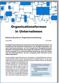 Whitepaper zu Organisationsformen von Unternehmen. 