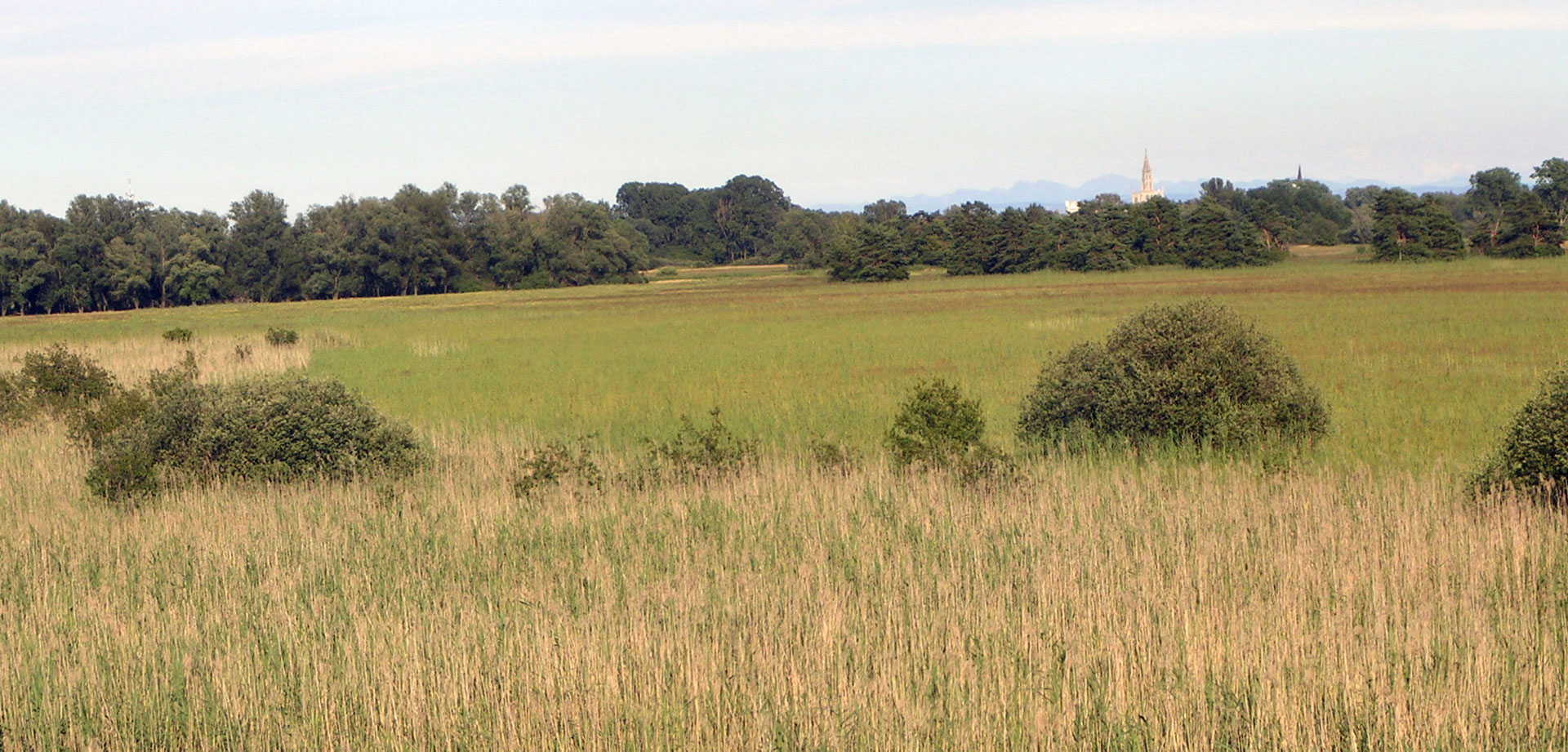 Infopfad Wollmatinger Ried - NABU-Bodenseezentrum