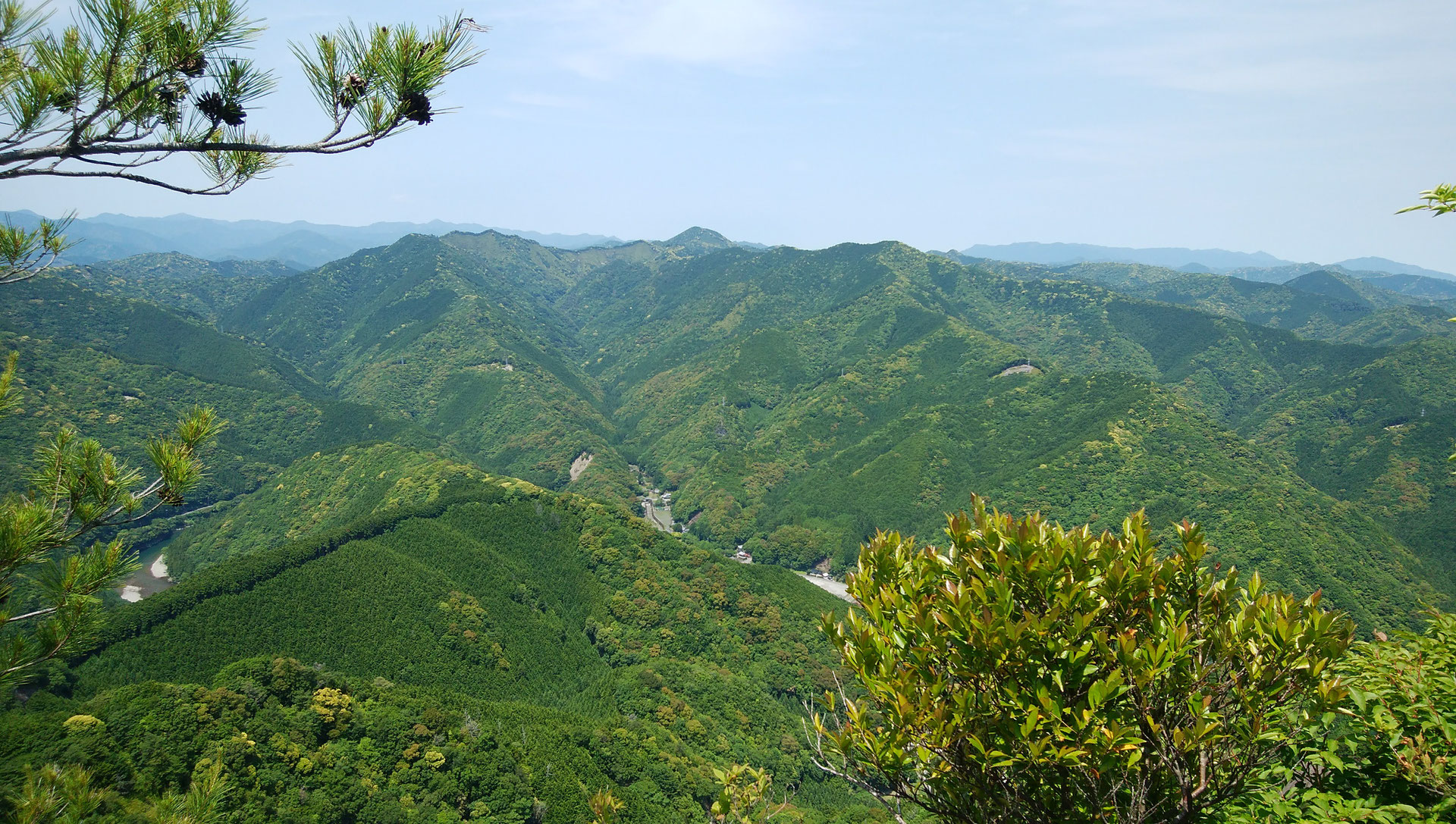 嶽の森山(古座川町)