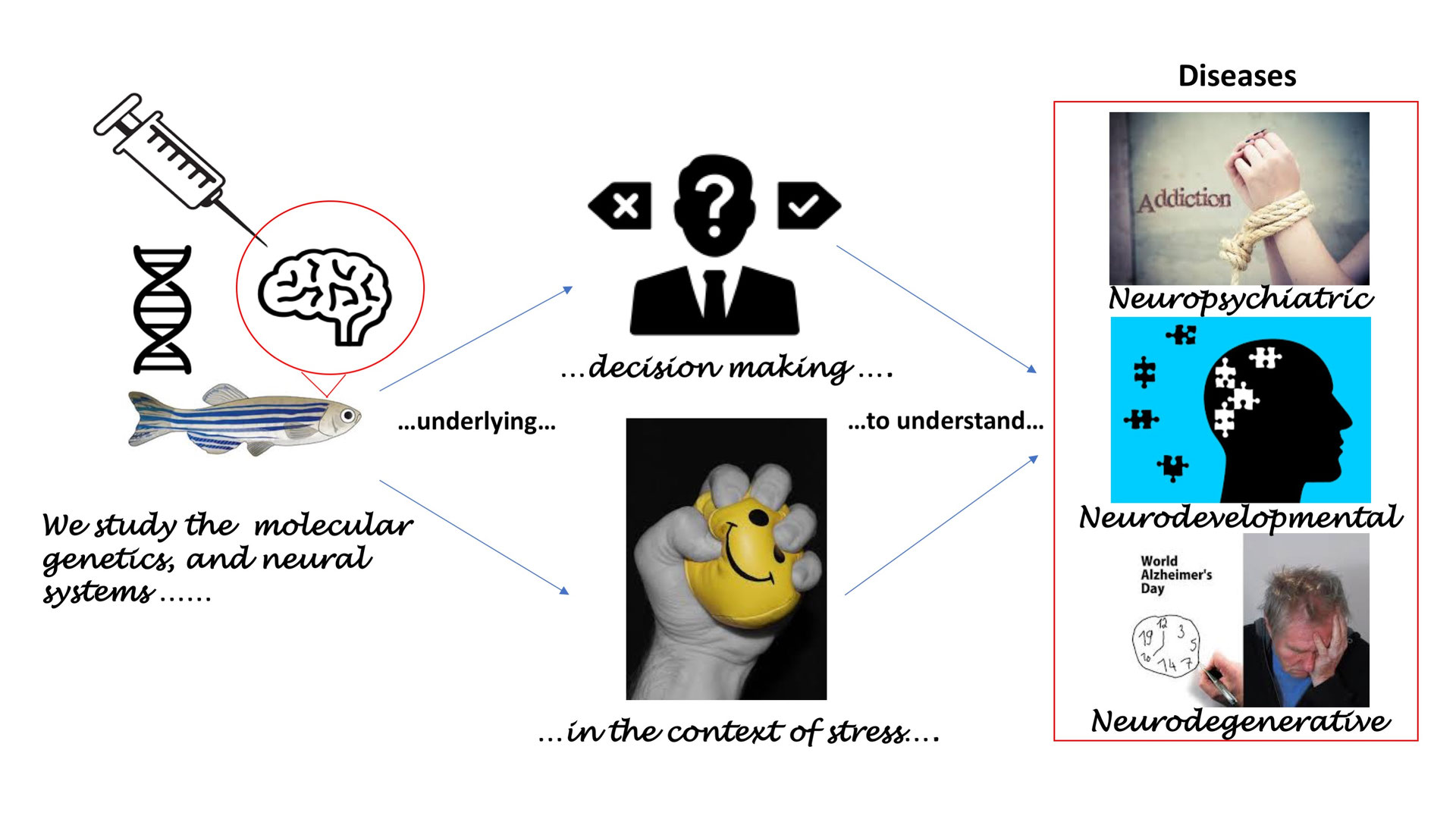 Techniques - brainandbehaviourlab