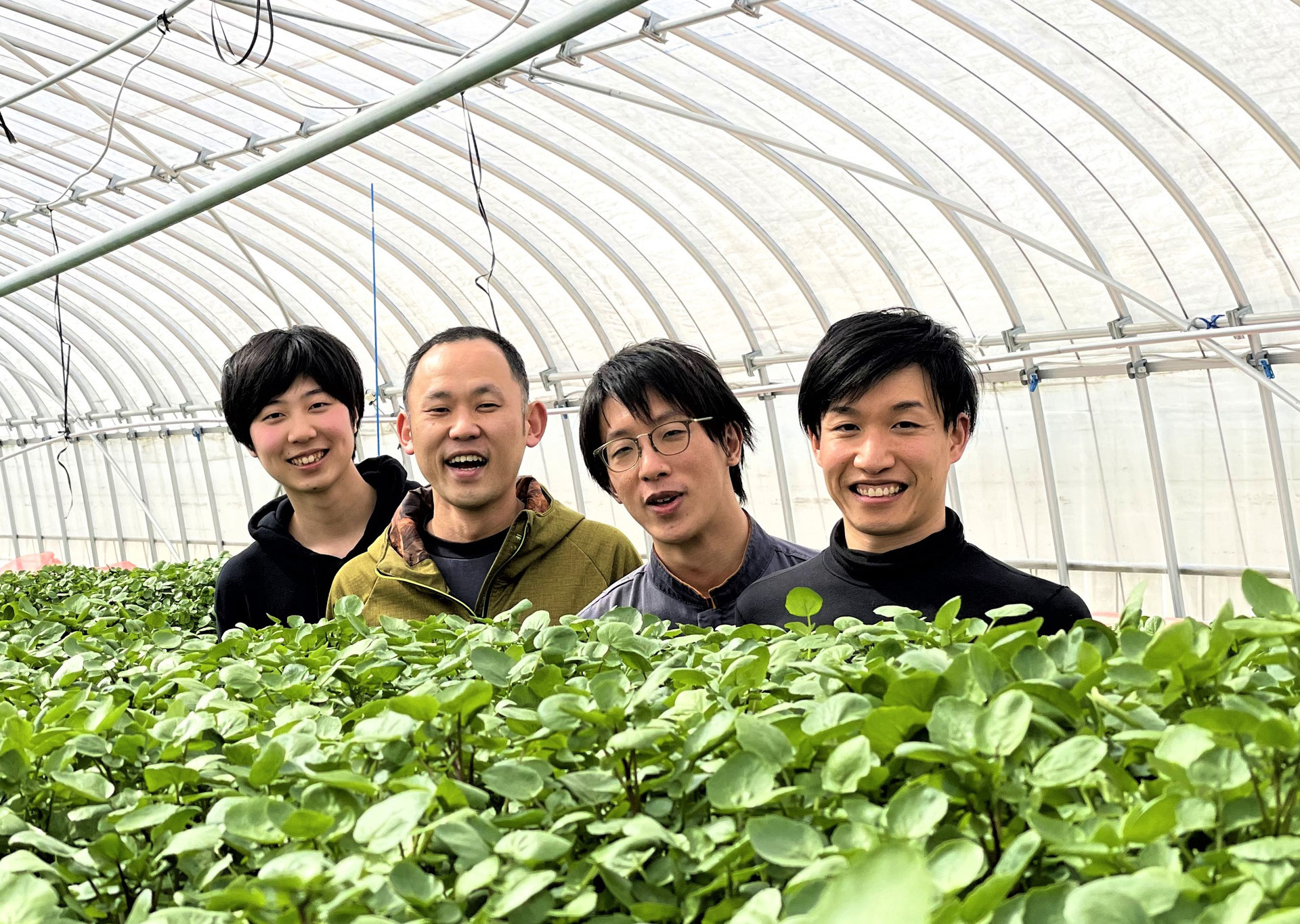 世界最先端水耕栽培によるハーブ生産 Gpa Inc 世界最先端水耕栽培によるハーブ生産 Gpa Inc