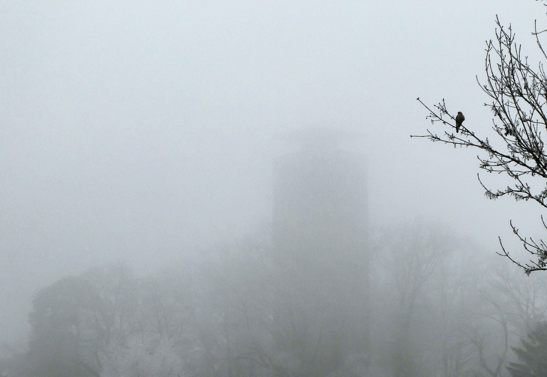 Copyright Napoleonturm-hohenrain.ch (c) Napoleonturm-hohenrain.ch