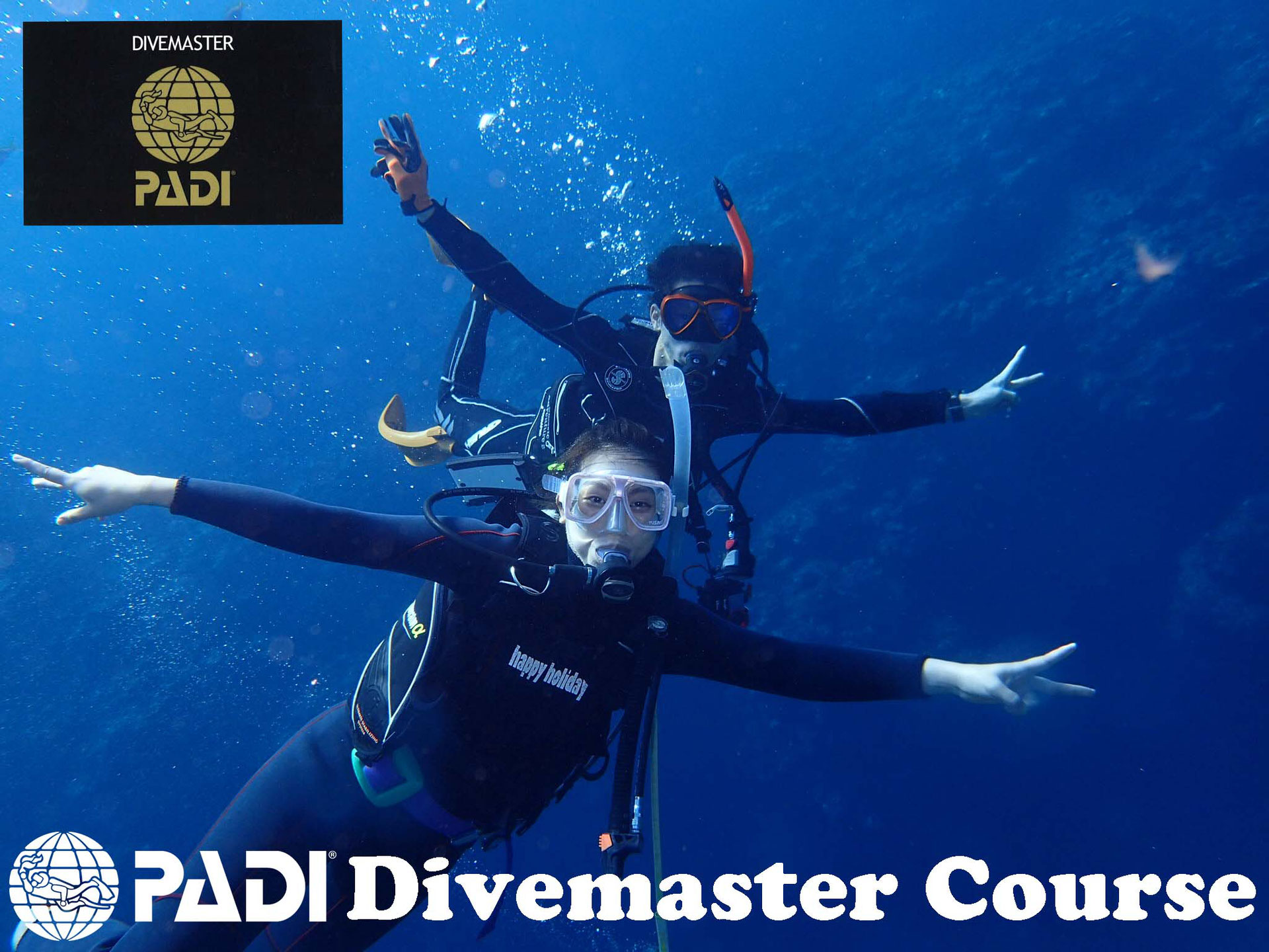 PADIダイブマスター コース(DM) PADI Divemaster Course - 沖縄ダイビングライセンス フリースタイル okinawa diving license school freestyle PADIダイブマスター コース(DM) PADI Divemaster Course - 沖縄ダイビングライセンス フリースタイル okinawa diving license school freestyle