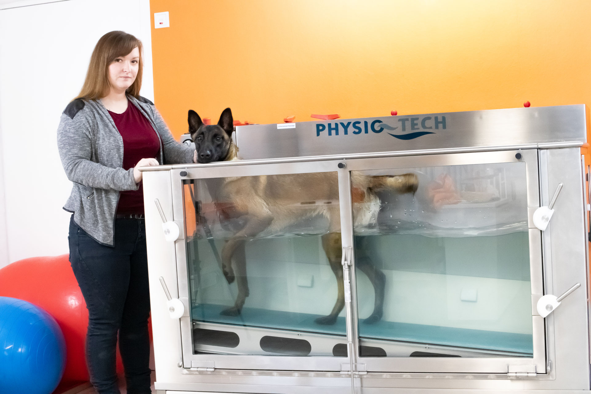 Unterwasserlaufband tierphysiotherapiekespohls Webseite!