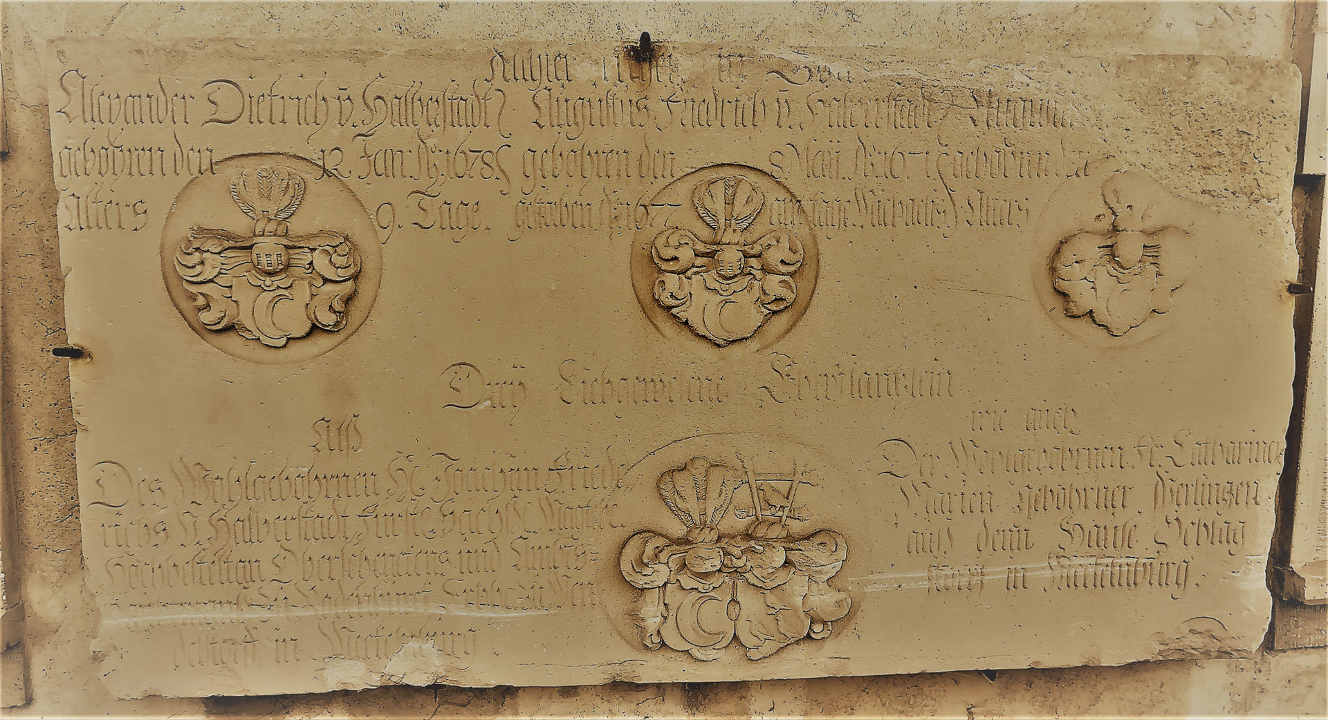 Die Geschichte des Joachim Friedrich von Halberstadt