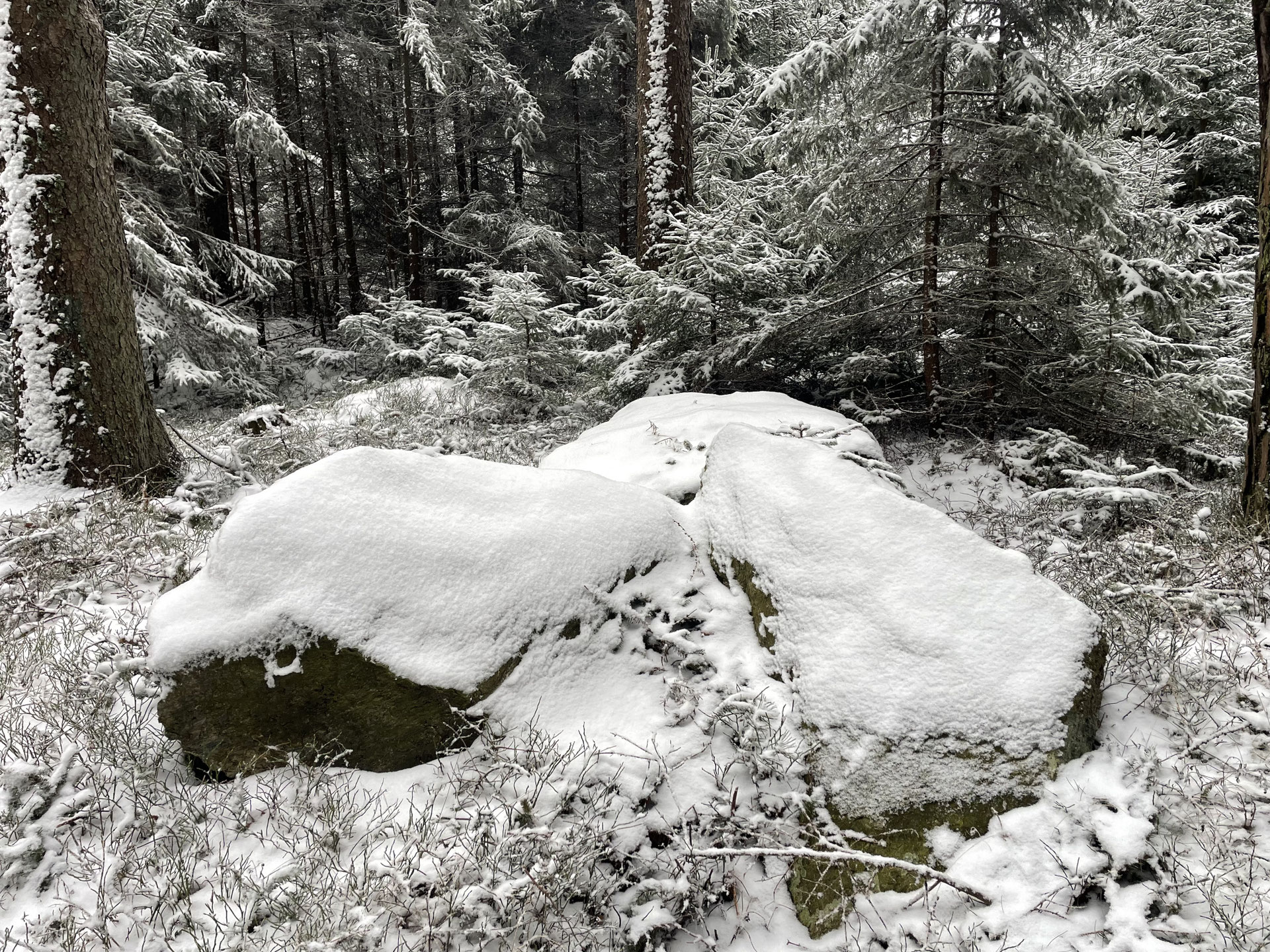 Copyright Raumundmensch.at (c) Raumundmensch.at