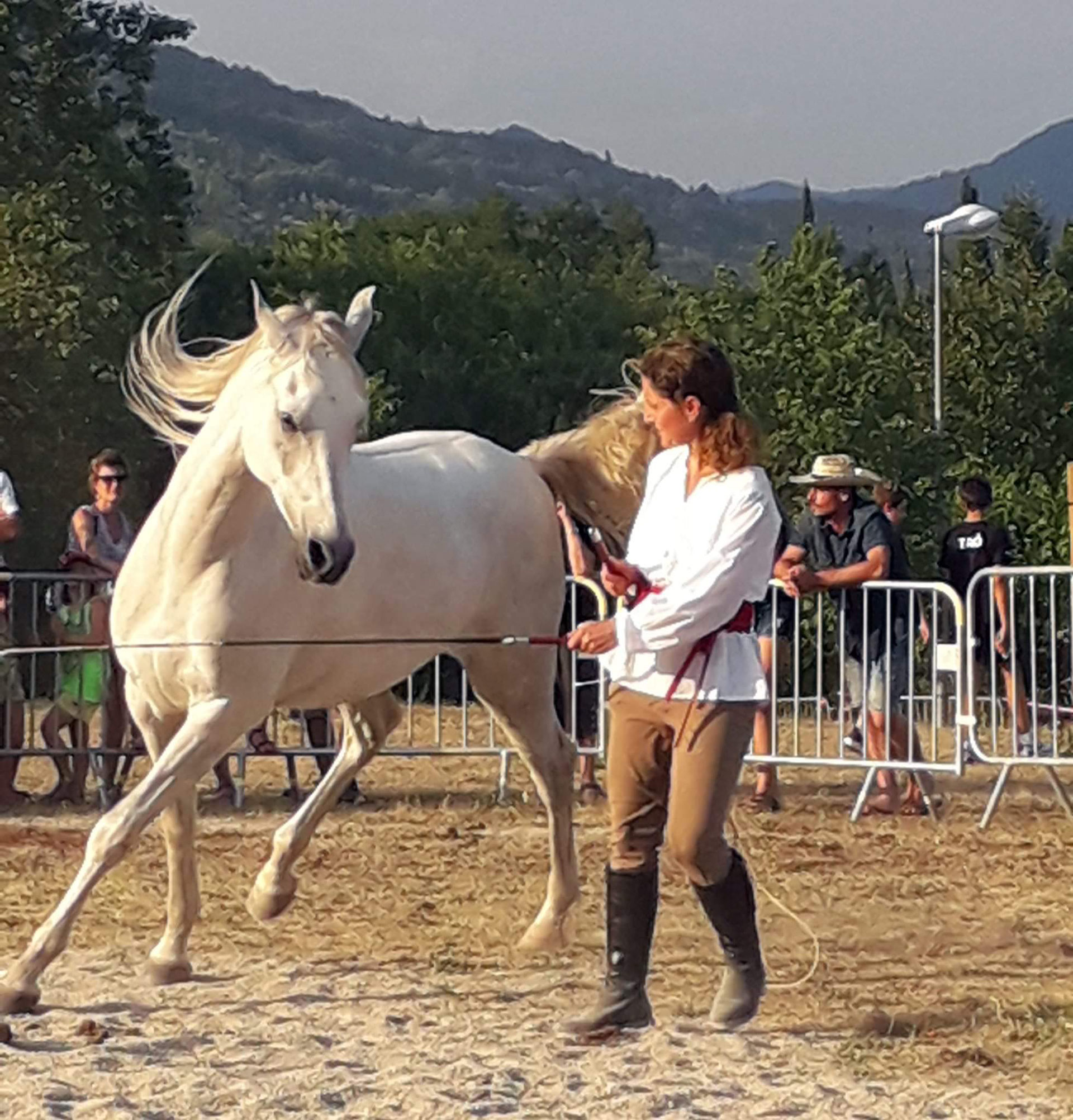 Dresseur De Chevaux Pour Le Cinema Le Dressage du cheval en Liberté Classique avec Yasmine Coissieux