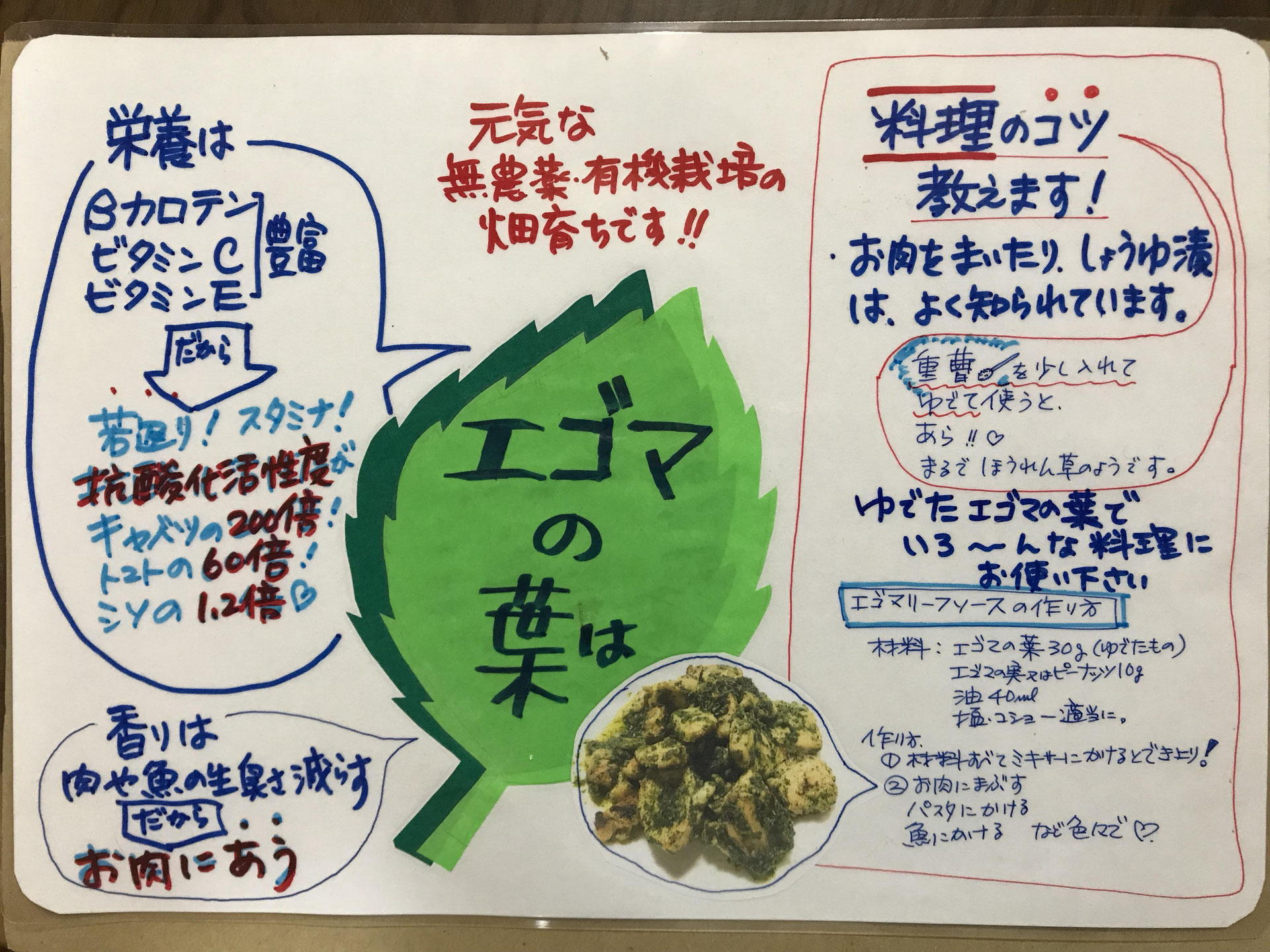 エゴマの葉料理が無限 に広がる秘訣 日本エゴマ協会