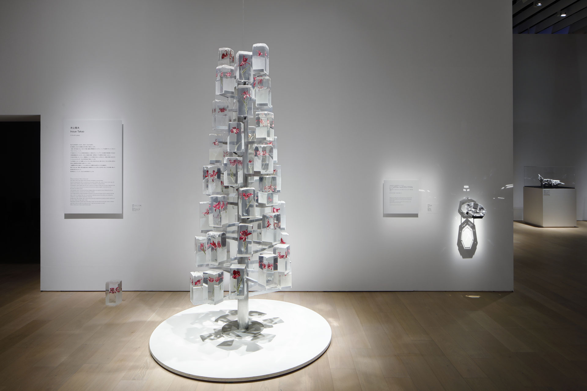 TAMPOPO 井上隆夫　本物のたんぽぽを封印　アート　オブジェ　美品 Exhibition - Takao Inoue