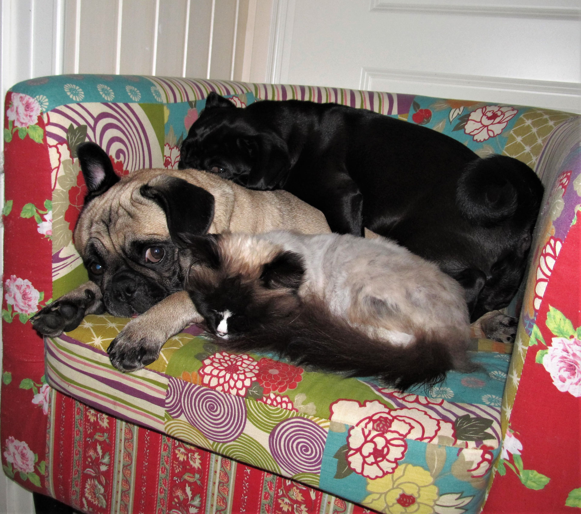 Zum Geburtstag Fr Mama Alles Gute Zum Geburtstag Schwester Fr