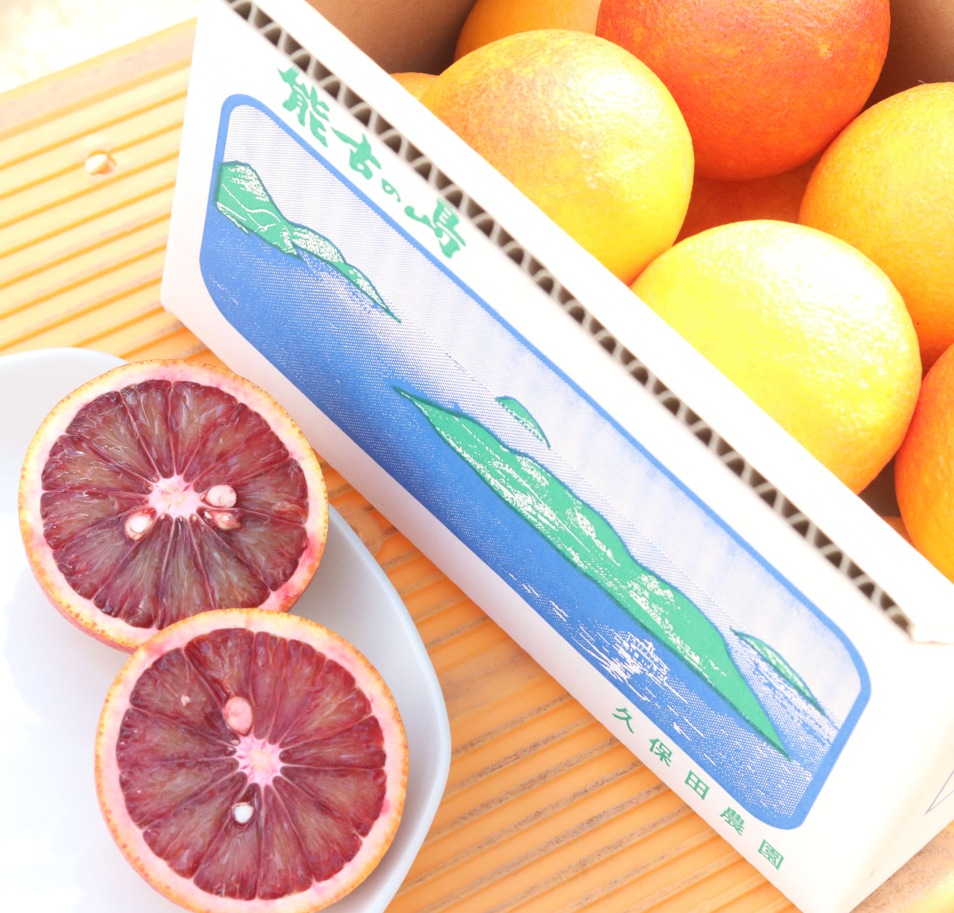 Memex　希少XLJ.PRESSイタリア生地ヘリンボーンダッフルオレンジ マンダリン 【業務用食材の仕入れなら八面六臂】