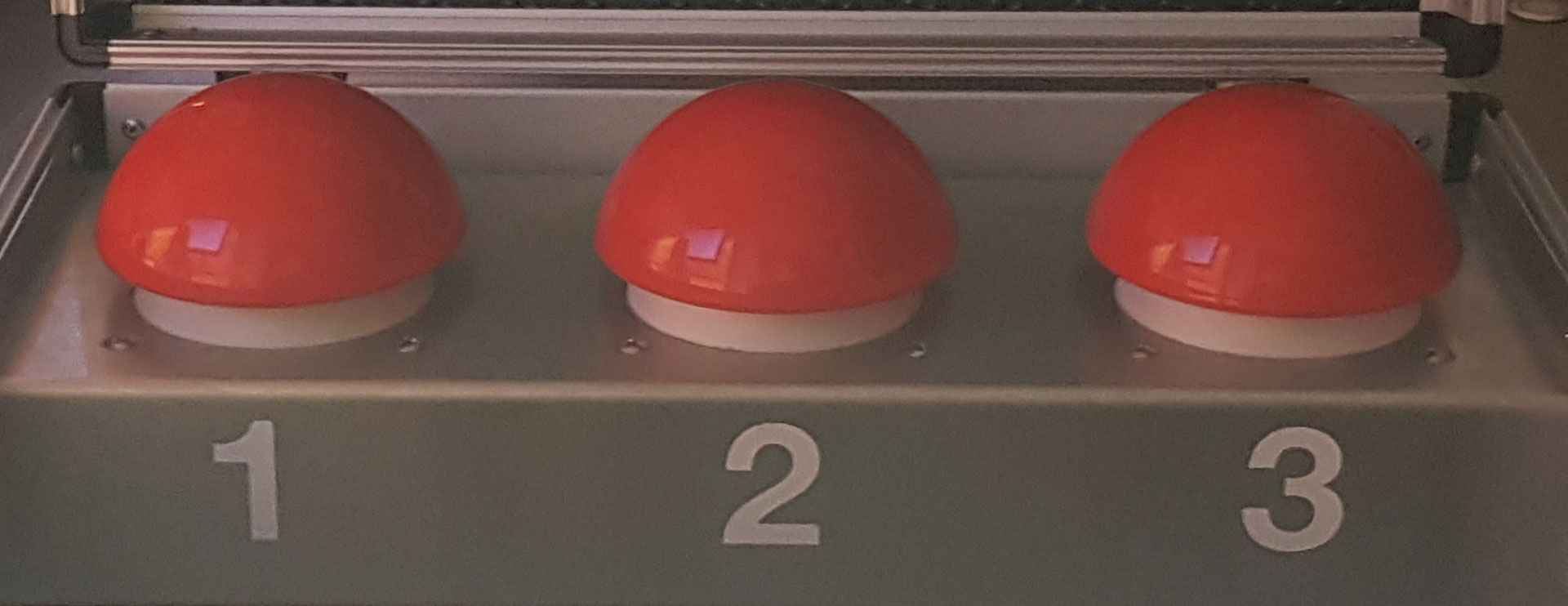 Kunstlername Finden Generator Art Business Name Generator