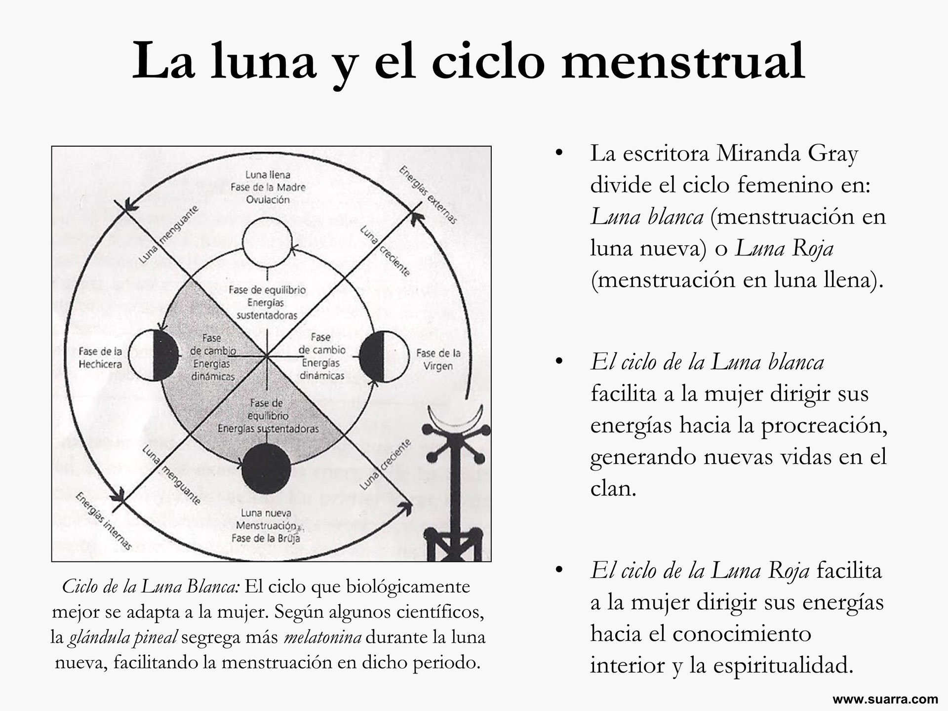 fases en blanco del diagrama de la luna