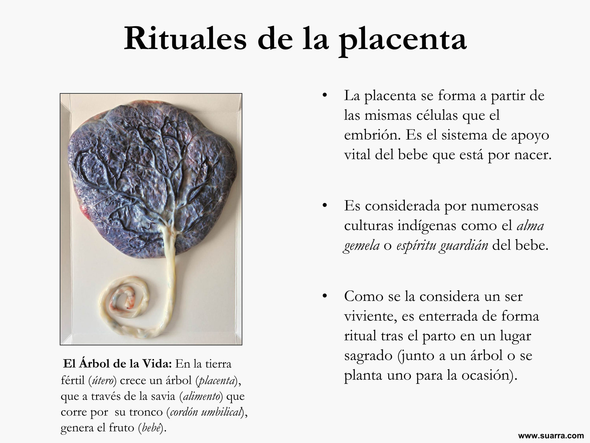Rituales De La Placenta Suarra