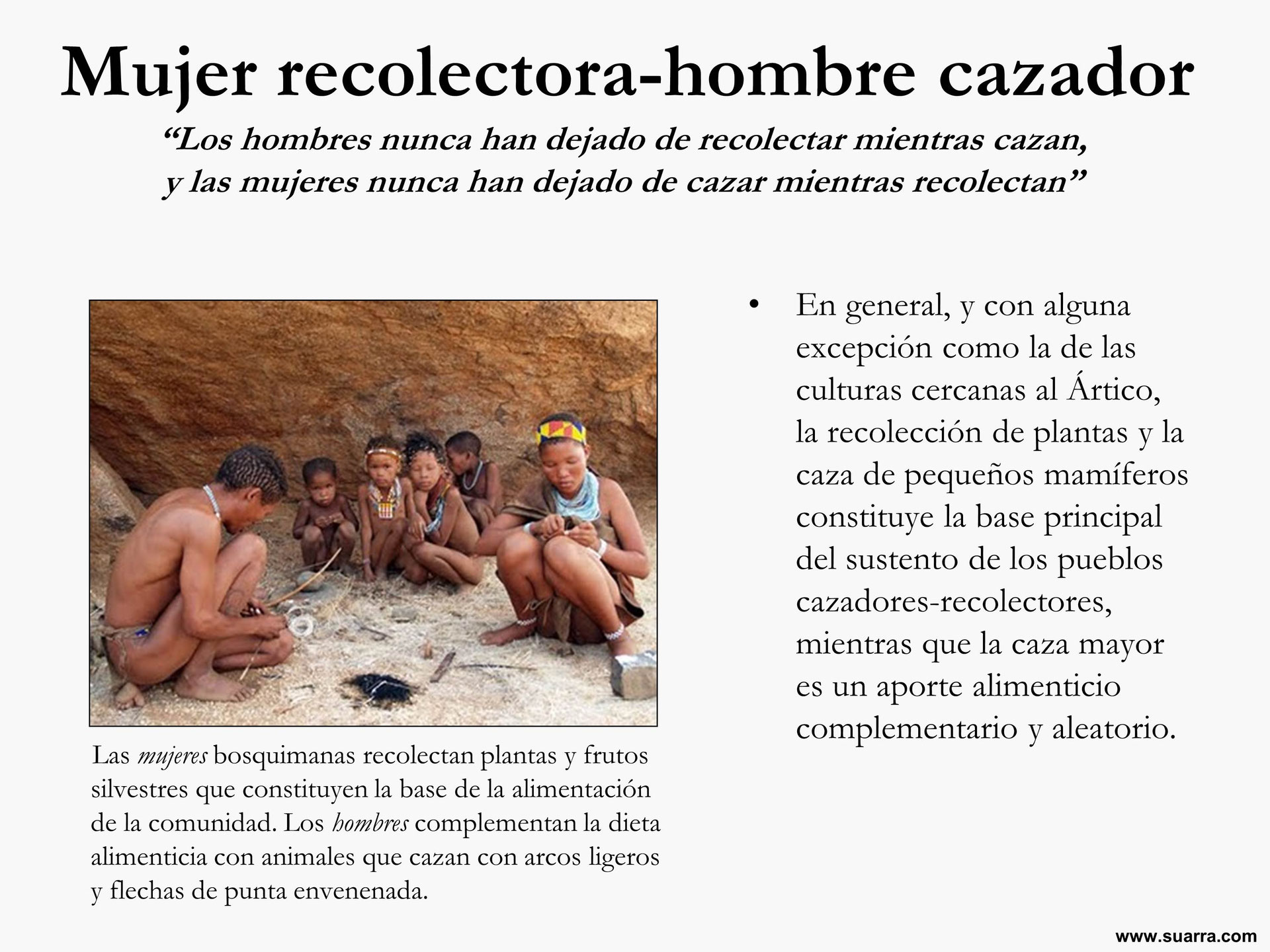 Mujer Recolectora Hombre Cazador Europa Indigena