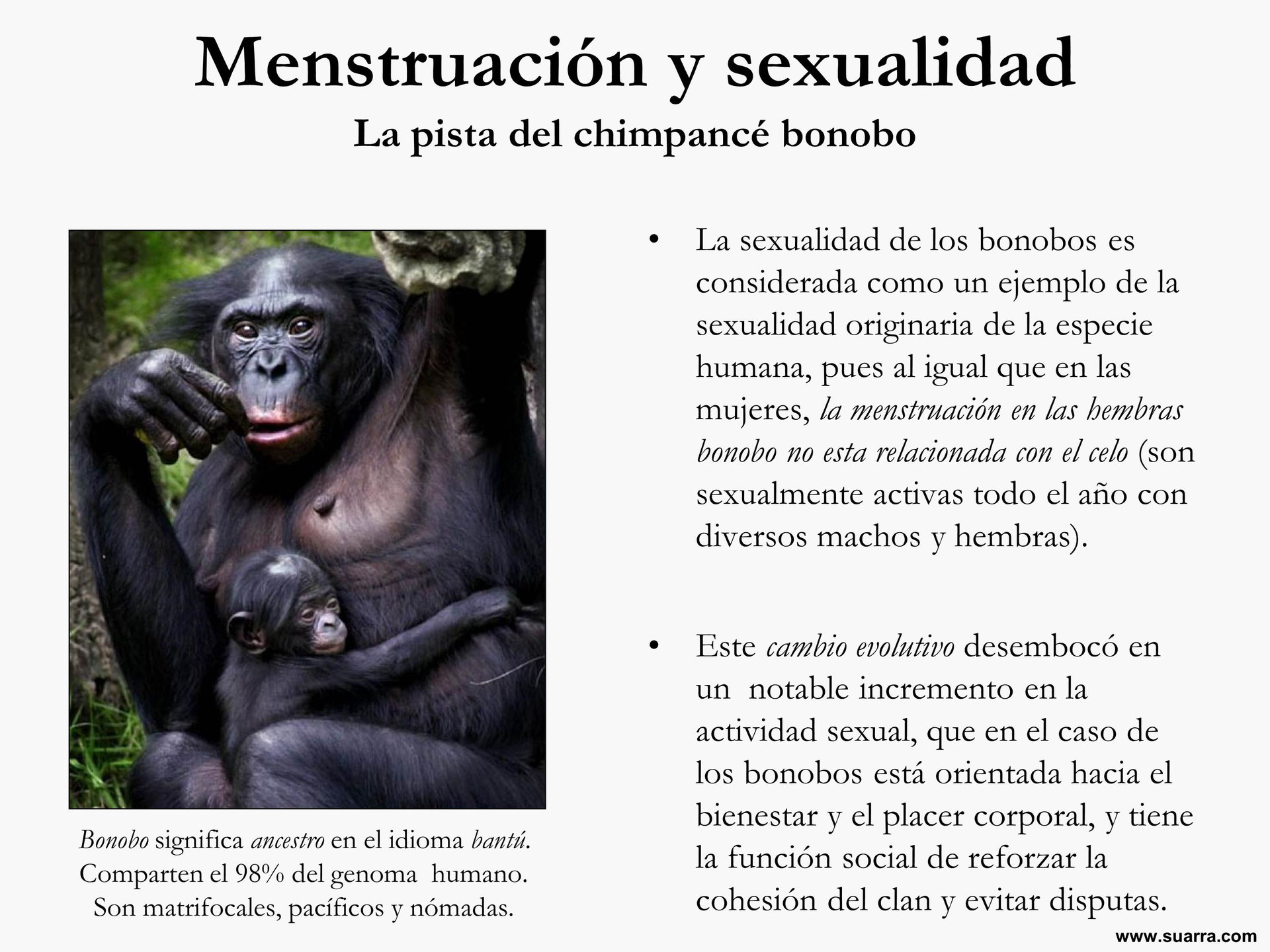 Watch Porn Videos fotos de mujer de sexo chimpancé