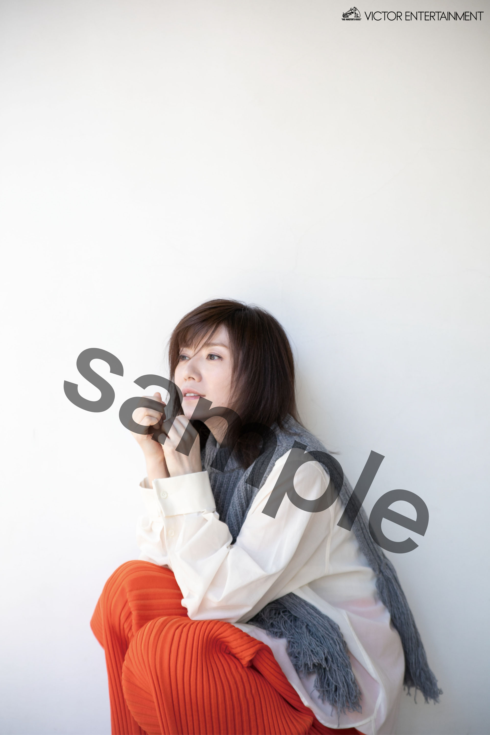 New Release - 柴田淳オフィシャルウェブサイト New Release - 柴田淳オフィシャルウェブサイト