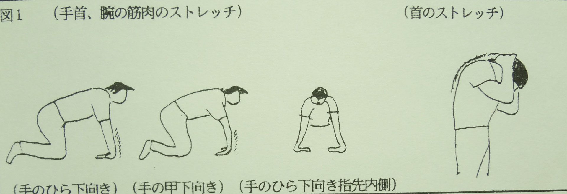 マット運動の授業 １ ２限目 体育の授業 高校 をどう進めたか 各種目の授業指導ノートの全貌を公開