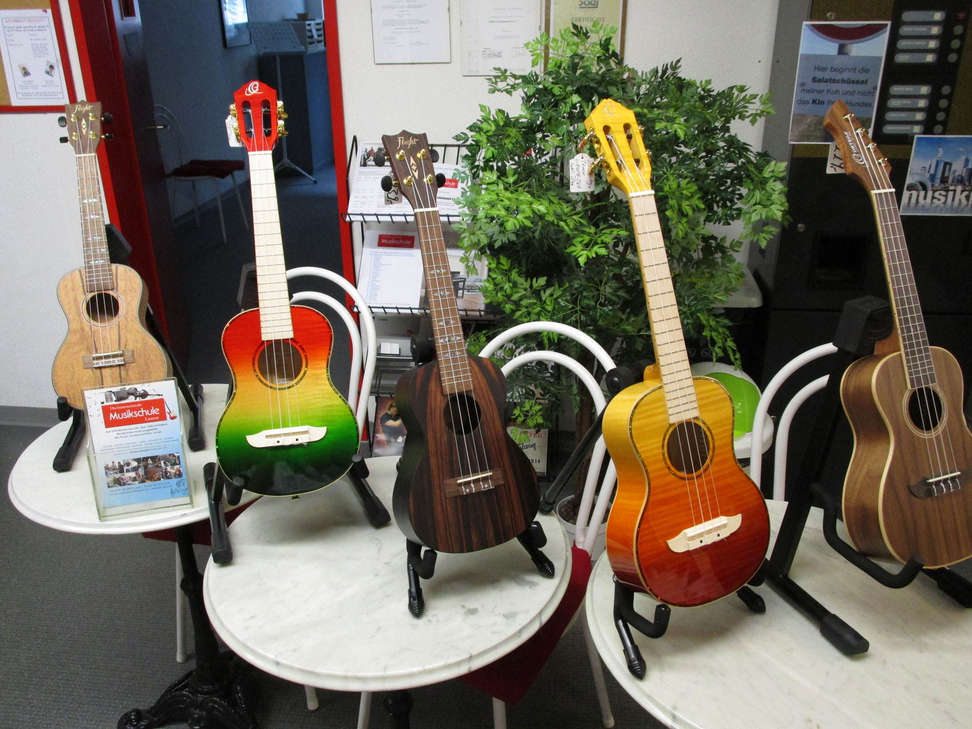 Ukulelen MUSIC & DRUMMER SHOP LUZERN INTERNATIONALE MUSIKSCHULE