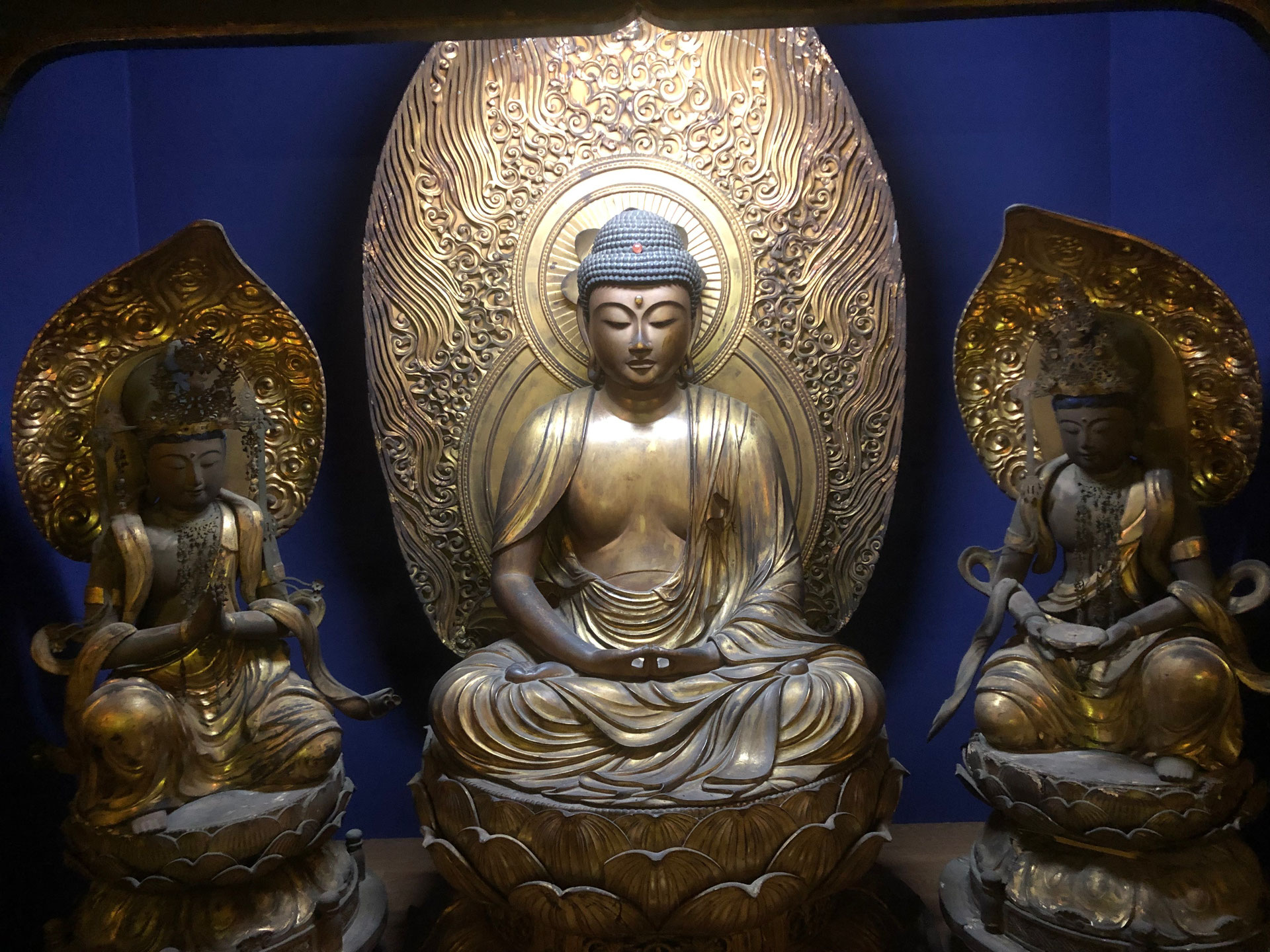弘願院について 金沢 弘願院
