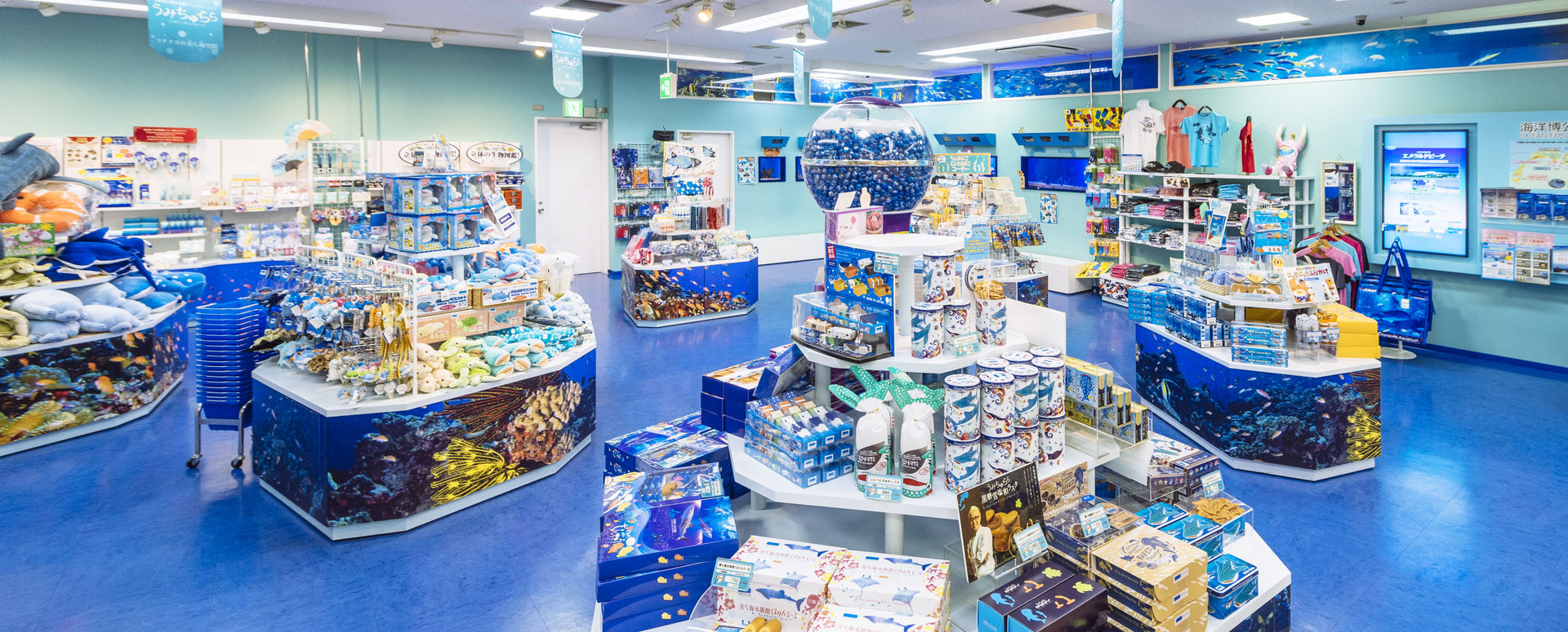 美ら海限定グッズ🐡 - 沖縄美ら海水族館アンテナショップうみちゅらら