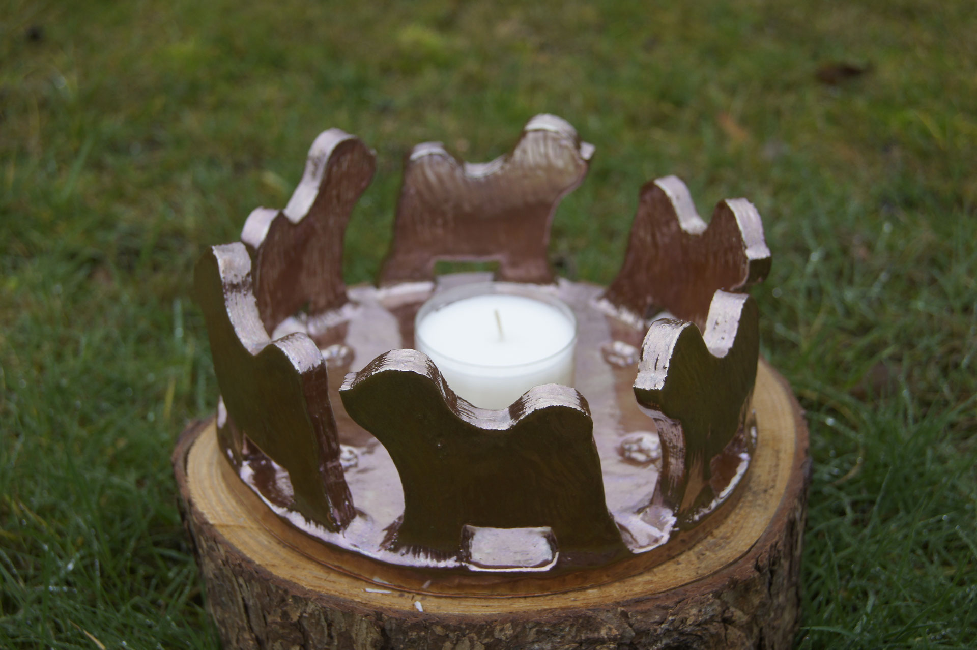 Tibet-Terrier Freundeskreise in den Farben hell, rötlich oder dunkel