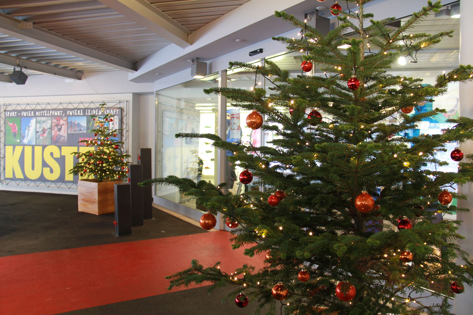 Weihnachtsbaume Fur Geschafte Oder Restaurants Mieten Baumfreunde