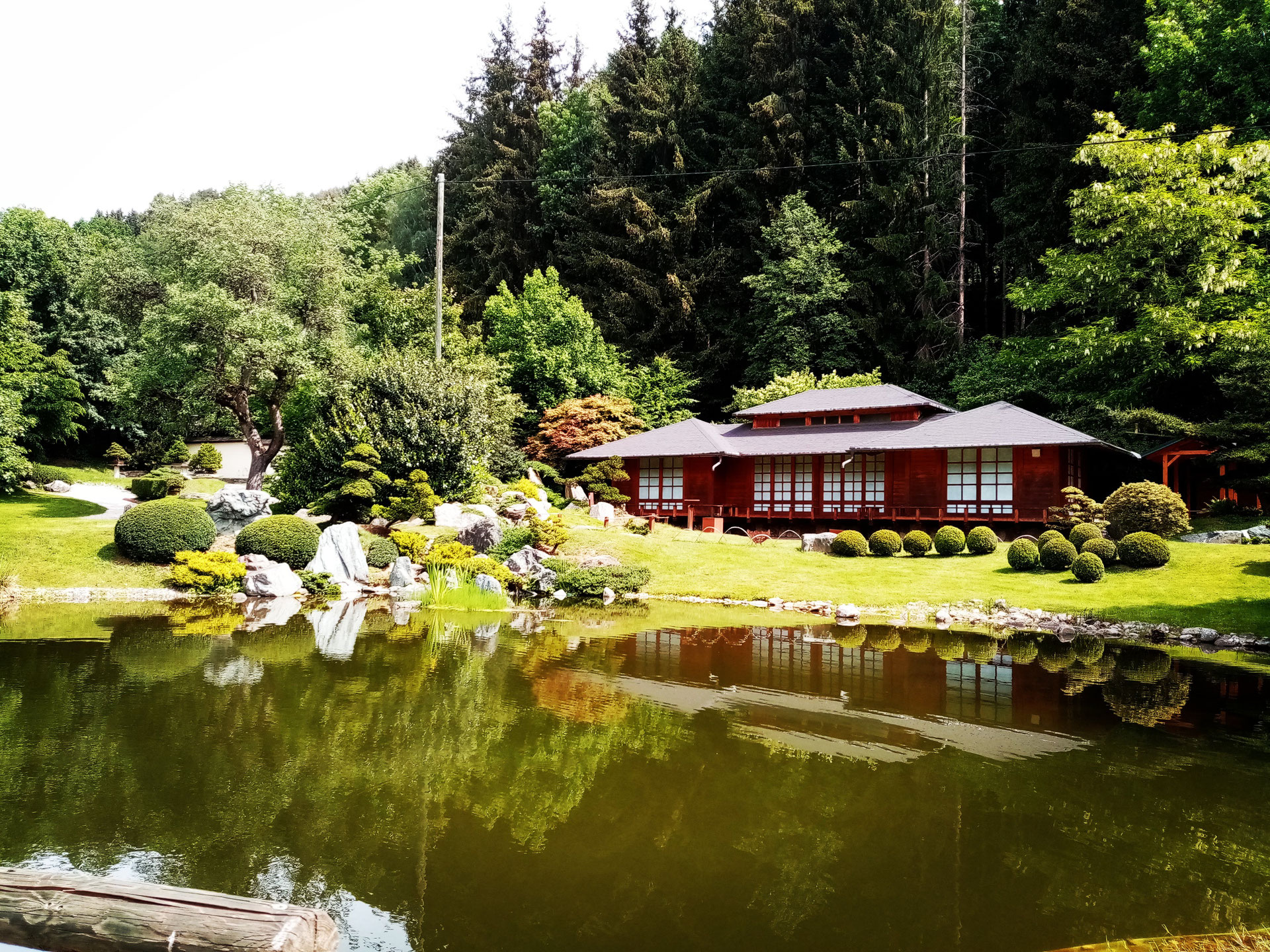 Bonsaimuseum Seeboden: Japanische Gartenkultur erleben - Reiseblog