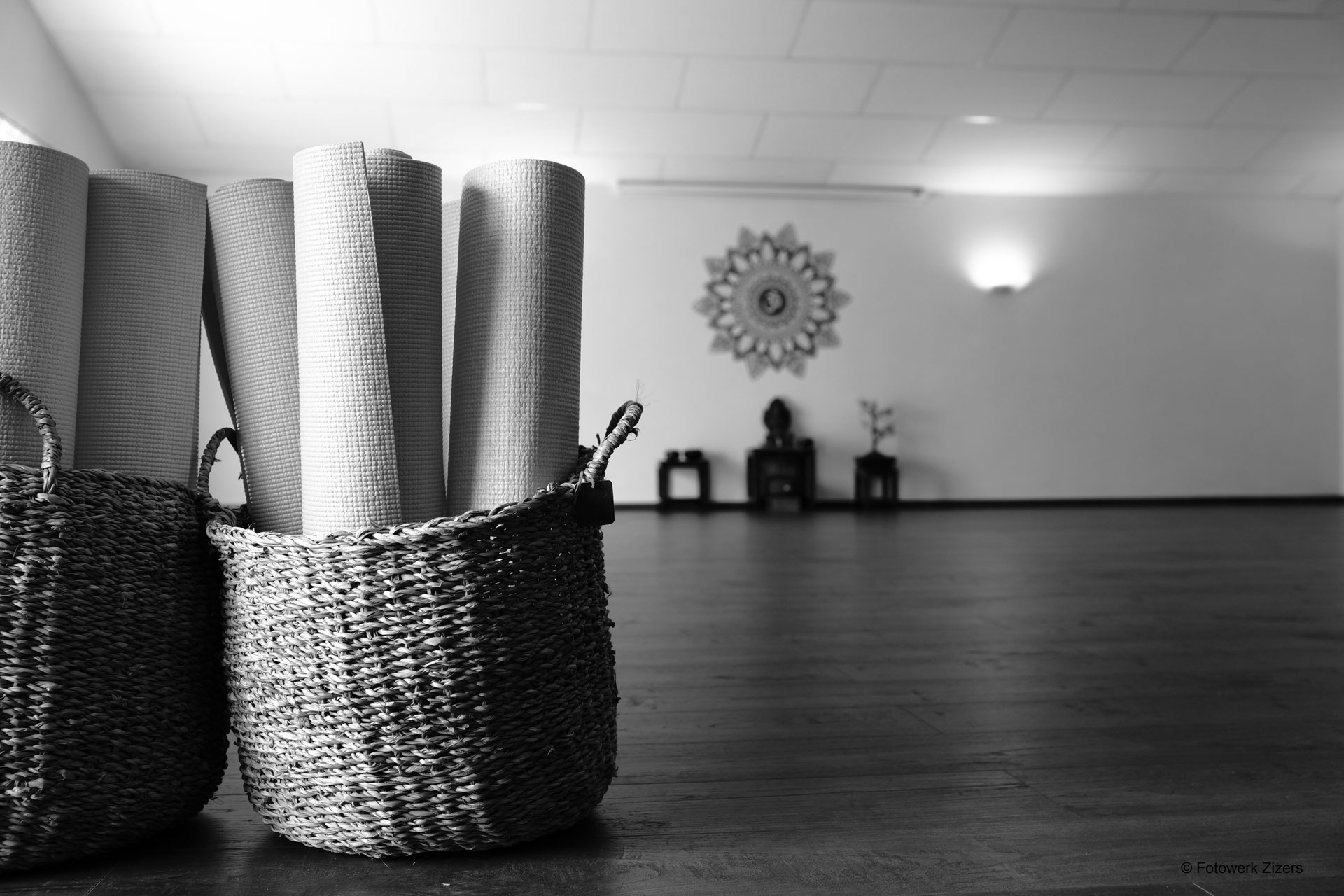 Cece_rosee_ onlyfans : pinup pixie leak