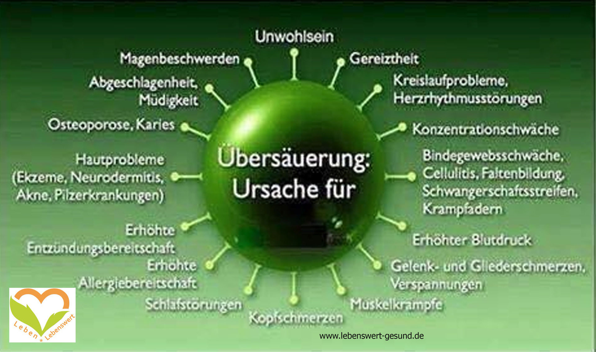 Ubersauerung Durch Stress Und Andere Faktoren Hajoona Einfach Online Bestellen