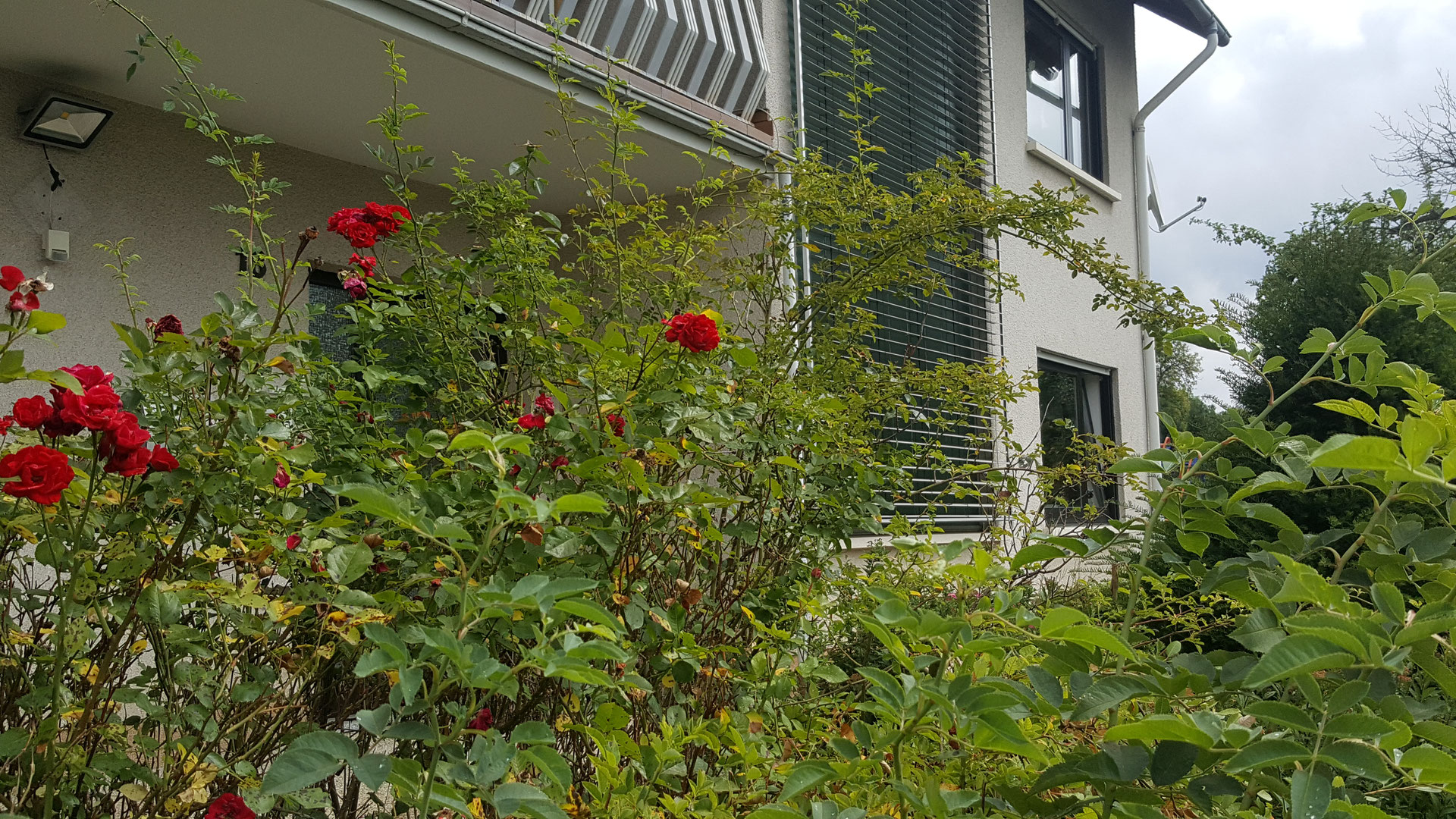 Single wohnung dillenburg