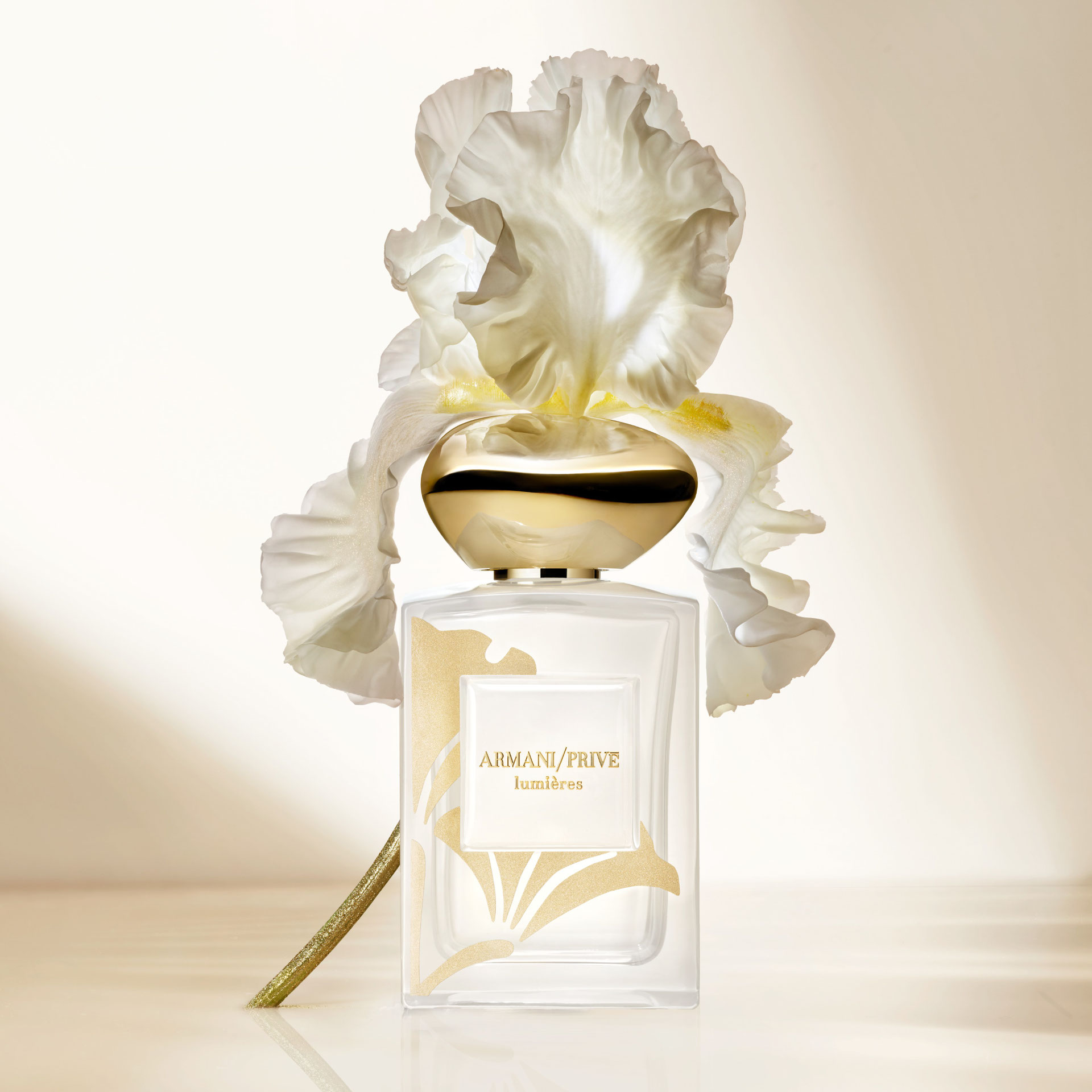 ARMANI PRIVE アルマーニ プリヴェ ピエール ド リュンヌ アルマーニ