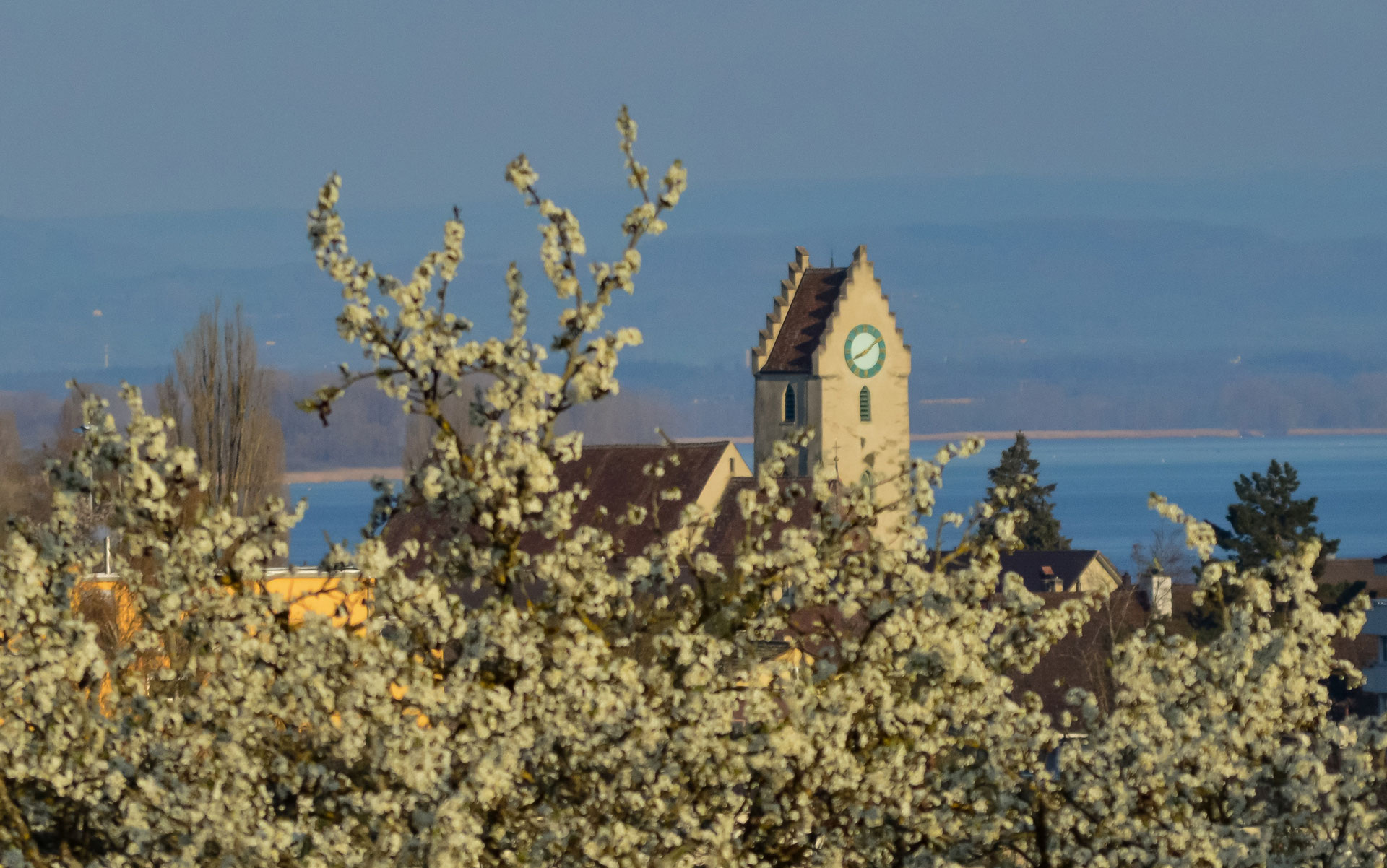 Die paritätische Kirche St. Albin 1300 Jahre Ermatingen