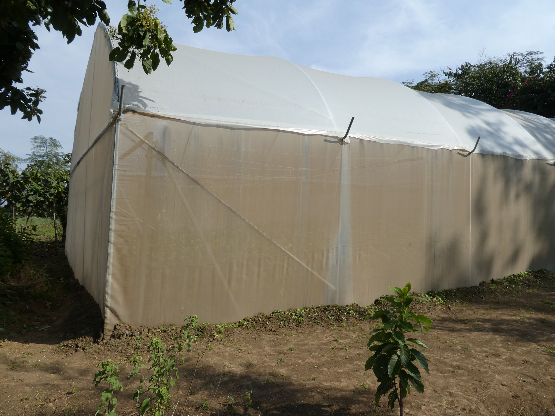 Together we build greenhouses nakupenda afrika