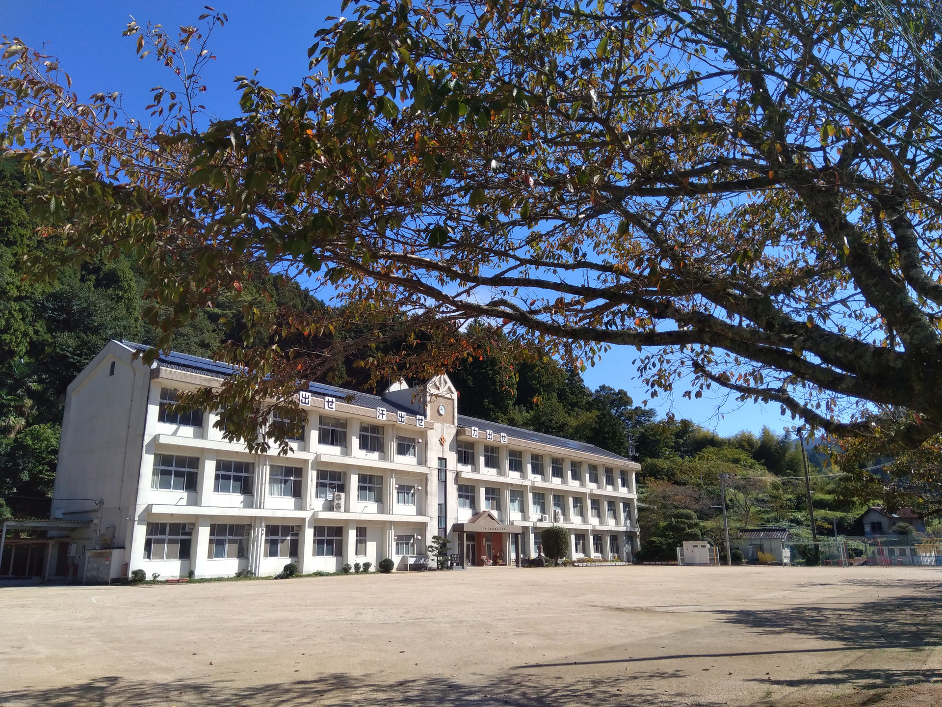 ことばのかたち 佐礼谷小学校読み聞かせ iyohon ページ！